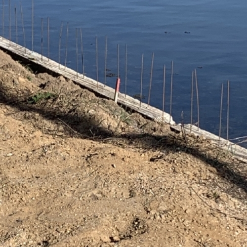 Armering klargjort til støbning ved kystnært anlægsarbejde