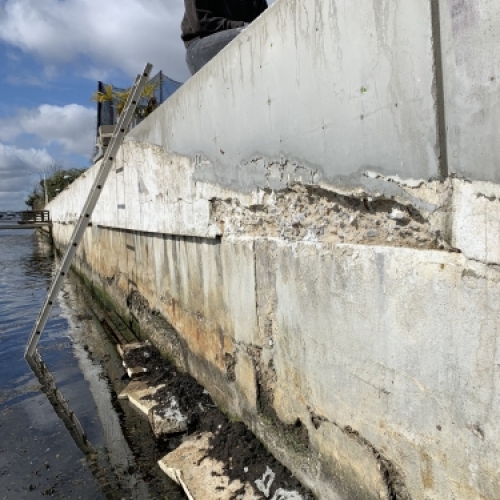 Udbedring af betonmur ved vandkant med adgang fra stige