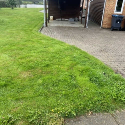 Helhedsbillede af belægning og udeareal ved carport og have