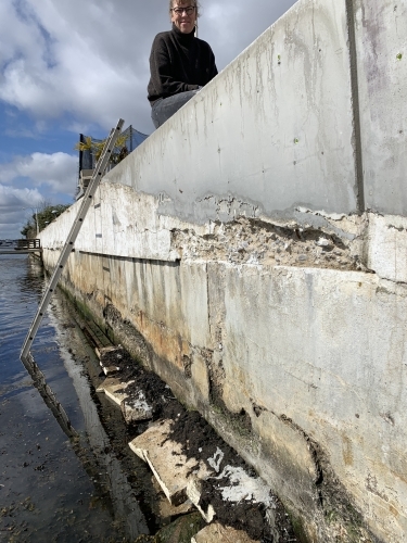 Udbedring af betonmur ved vandkant med adgang fra stige
