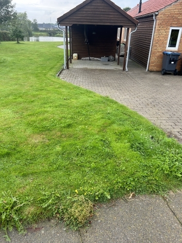 Helhedsbillede af belægning og udeareal ved carport og have