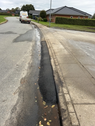 Reparation af belægning og kant ved vej med fokus på afvanding